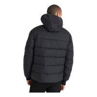 Hooded Puffer Alpha Fd