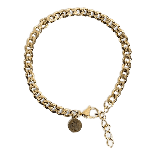 Bracelet Gold Steel