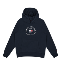 Hilfiger Flag Arch Hoody Dw5