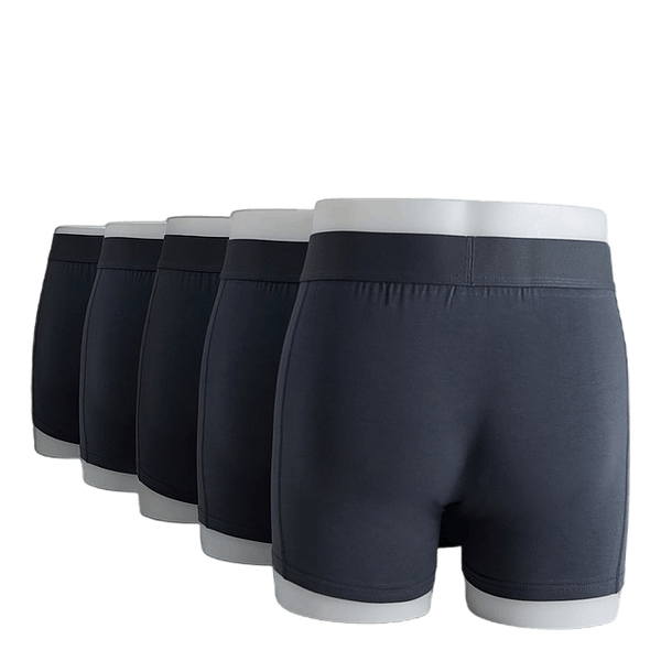 5-pack Boxer Organic Cotton Stone