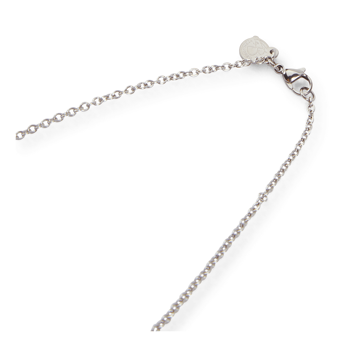 Necklace Steel Silver Steel