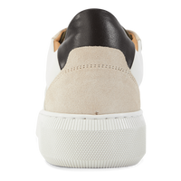 Adventure Ii 260 Creme Combo