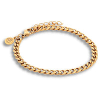 Bracelet Gold Steel