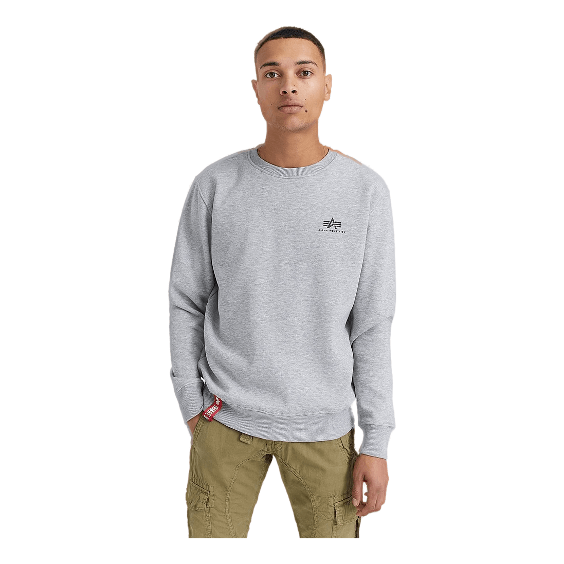 Alpha Small Sweater – Basic - Industries Logo Grey