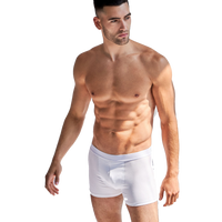 Boxer Brief