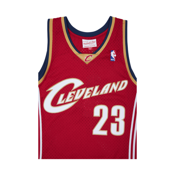 Swingman Jersey - LeBron James