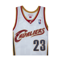 Swingman Jersey - LeBron James