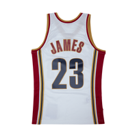 Swingman Jersey - LeBron James