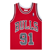 Bulls Swingman Jersey - Dennis Rodman