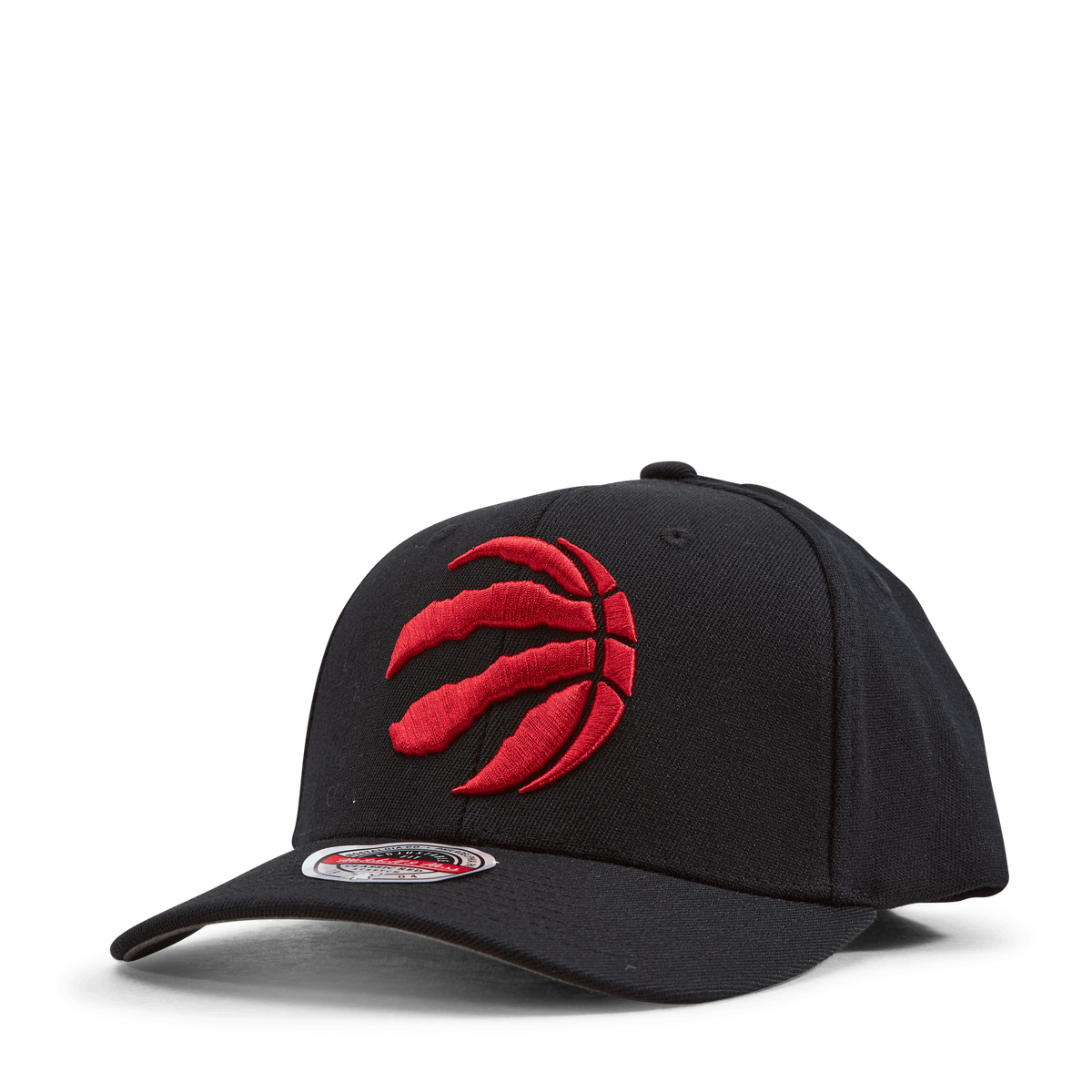 Raptors Team Ground 2.0 Stretch Snapback