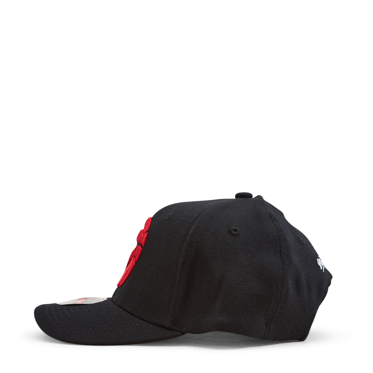 Raptors Team Ground 2.0 Stretch Snapback