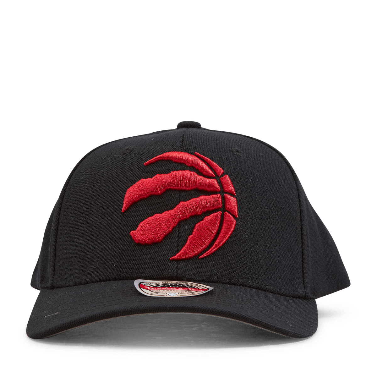 Raptors Team Ground 2.0 Stretch Snapback