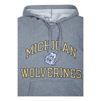 Michigan Short Sleeve Fleece Hoodie