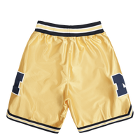 Michigan Maize Shorts -91