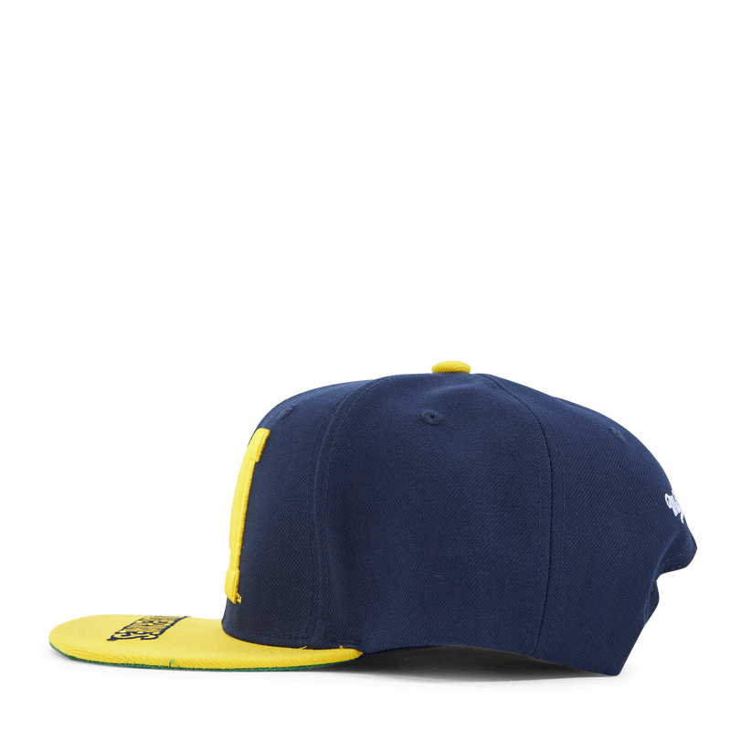 Michigan Logo Bill Snapback