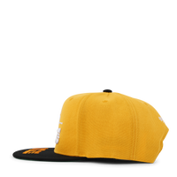 Tennessee Volunteers Logo Bill Snapback