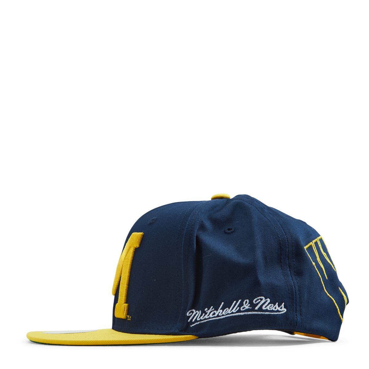 Michigan Back In Action Snapback