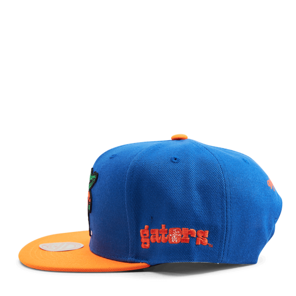 Gators Team Origins Snapback