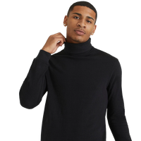 Studio Total Roll Neck