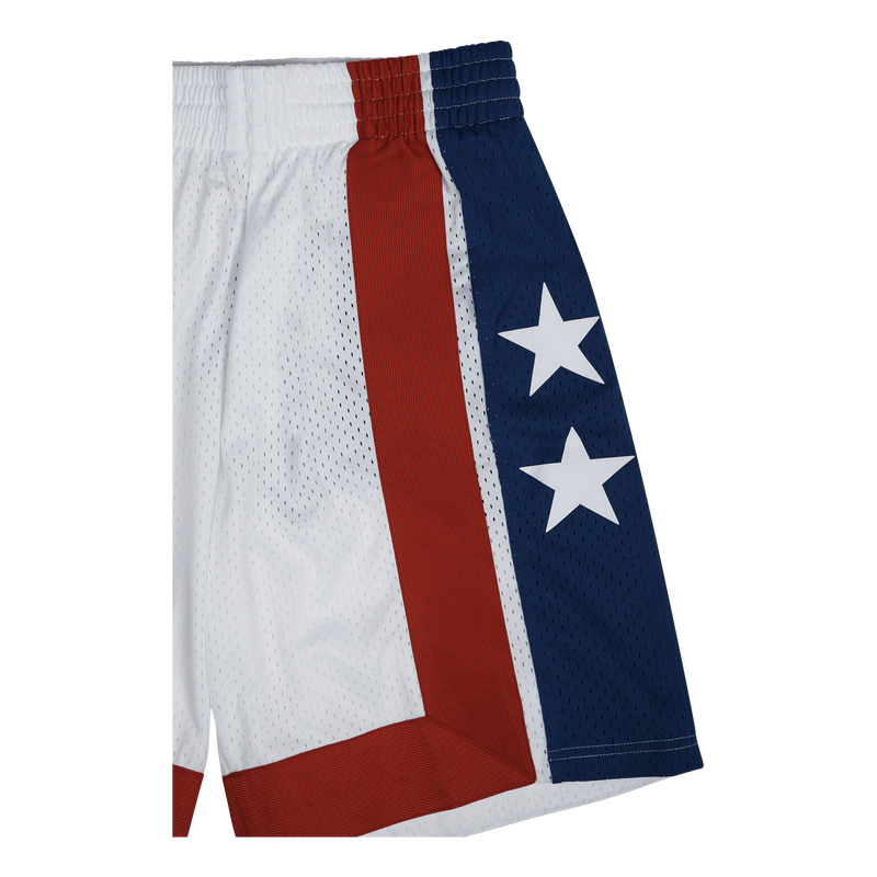 Nets Swingman Shorts 73-74