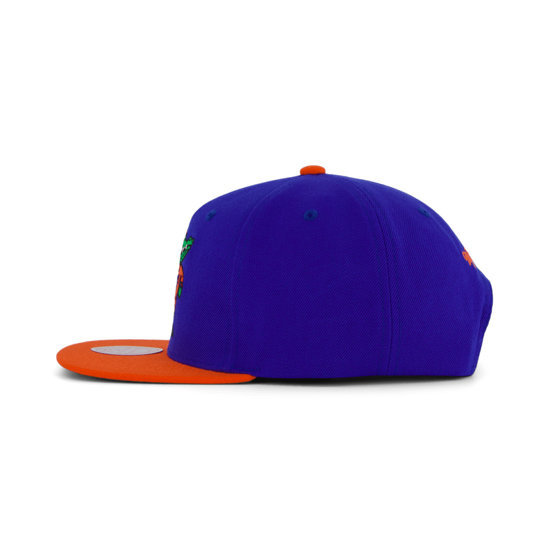 Gators Team 2 Tone 2.0 Snapback