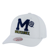 Wolverines All In Pro Snapback