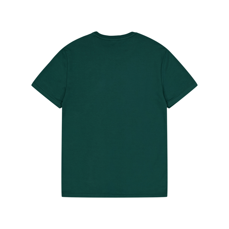 Polo Ralph Lauren Custom Slim Fit Soft Cotton Te 070 Moss Agate