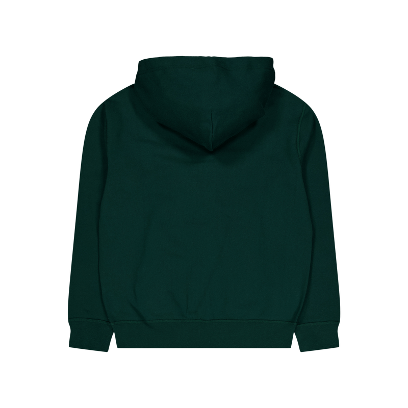Polo Ralph Lauren Rl Fleece Zip Hood 008 Moss Agate