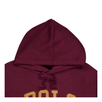 Polo Ralph Lauren Rl Fleece Polo Hoodie 002 Harvard Wine