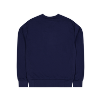 Polo Ralph Lauren Classic Athletic Sweatshirt 001 Cruise