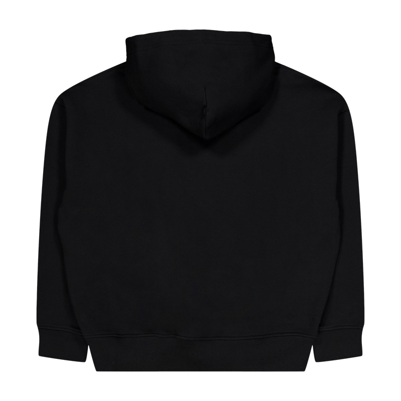 Polo Ralph Lauren Big Polo Player Hoodie Polo