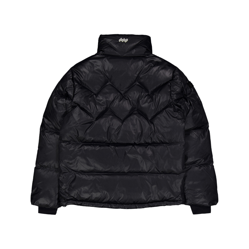 Paragon Down Parka