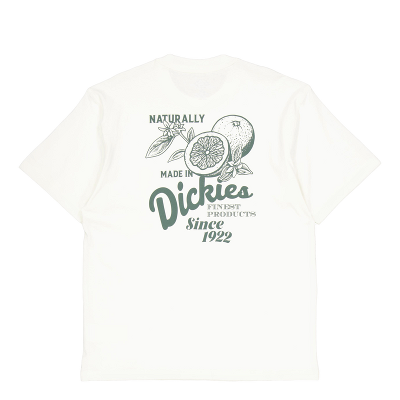 Raven Tee Ss Cloud