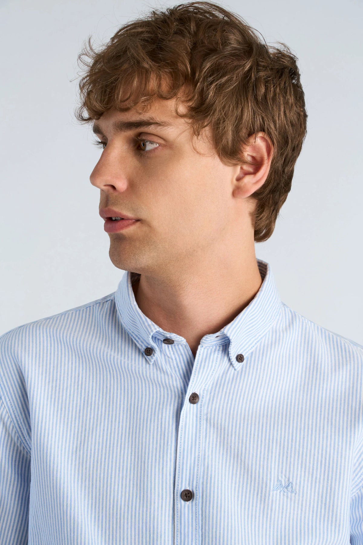 Oxford Shirt L/s Blue/stripe