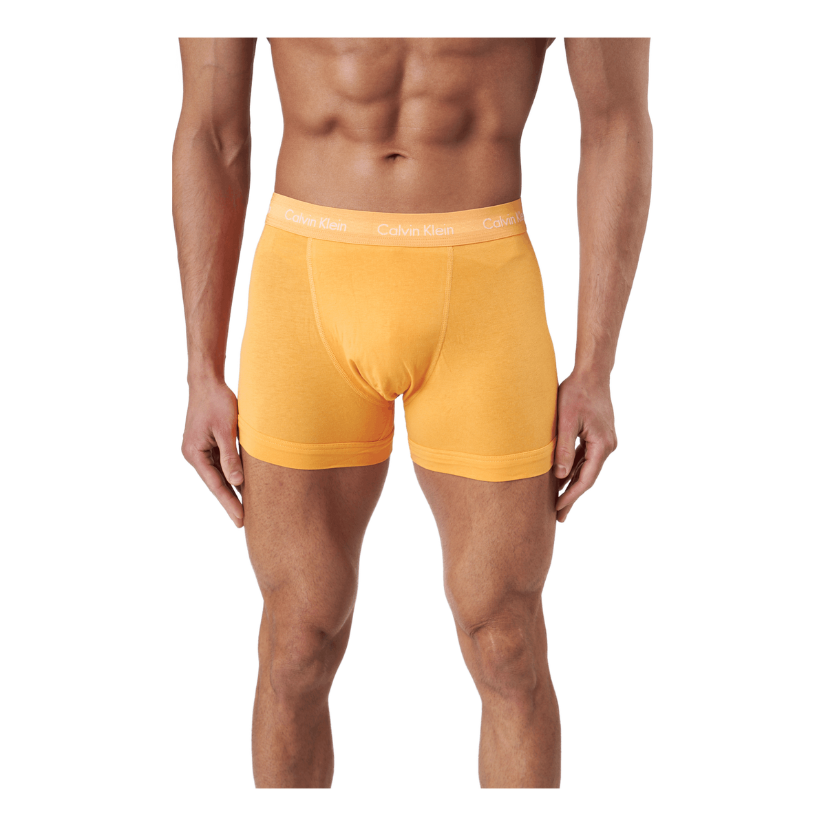 Calvin Klein Trunk 3pk