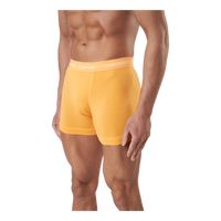 Calvin Klein Trunk 3pk