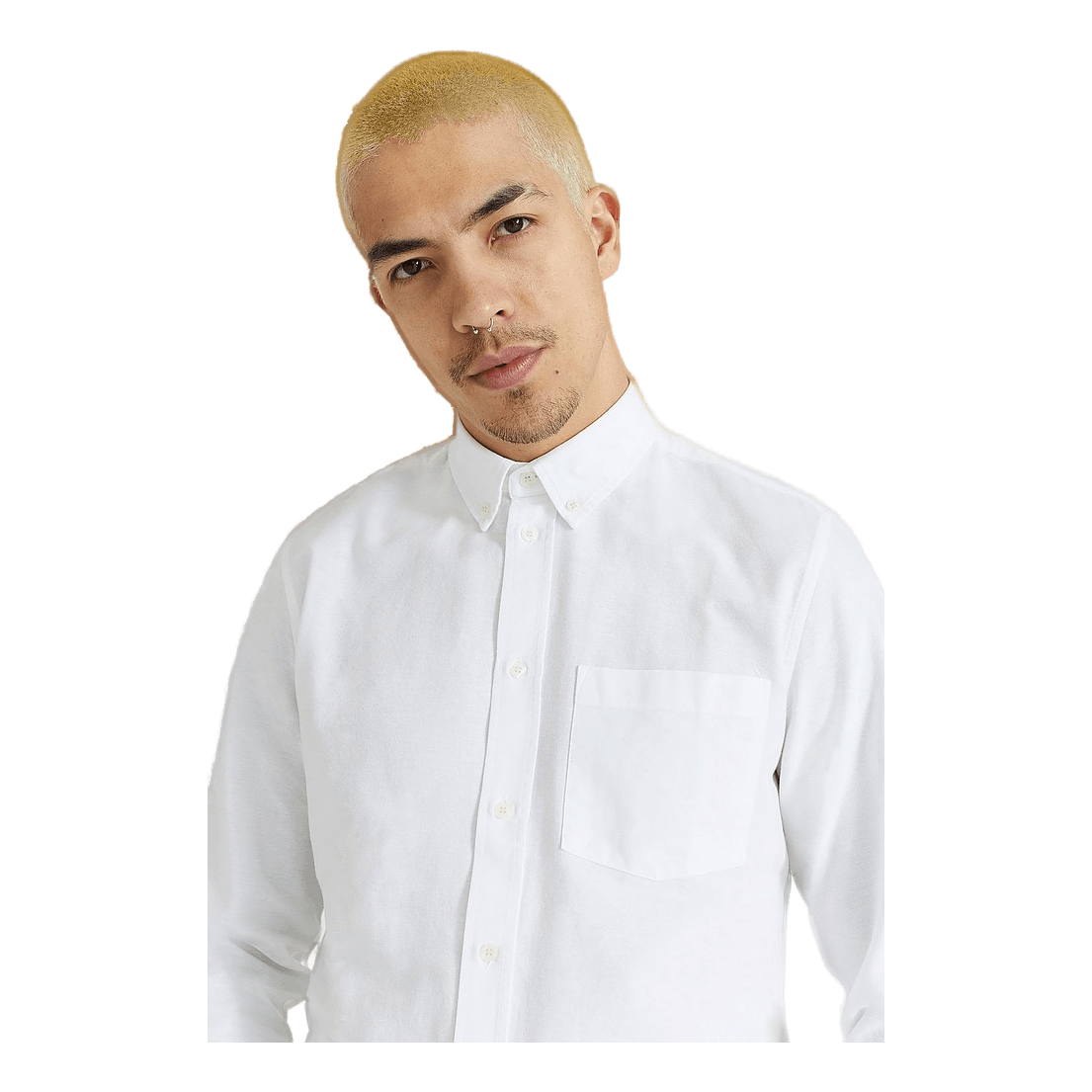 Adam Oxford Shirt