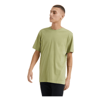 Delano T-shirt 43 Sage