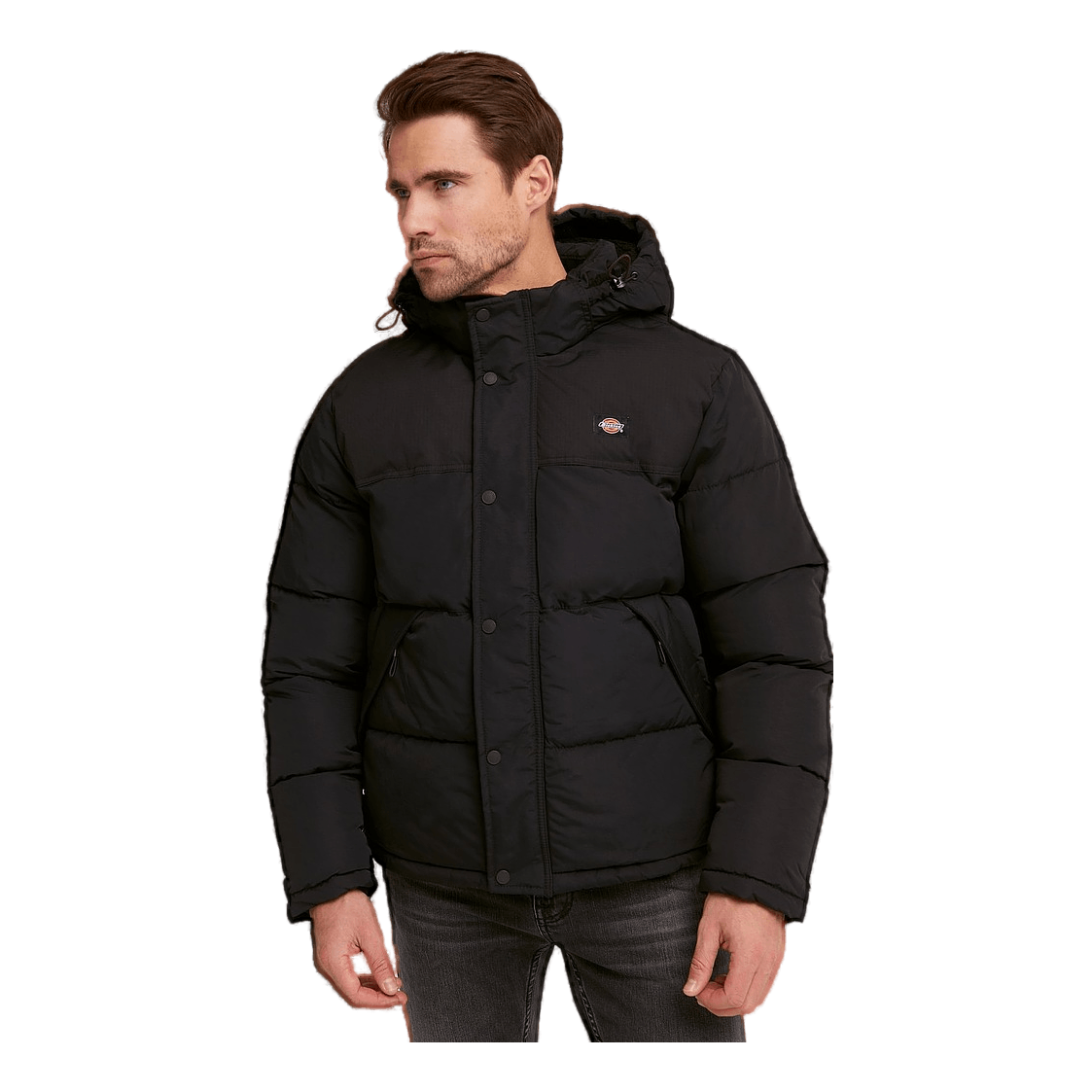 Dickies Glacier View Coat