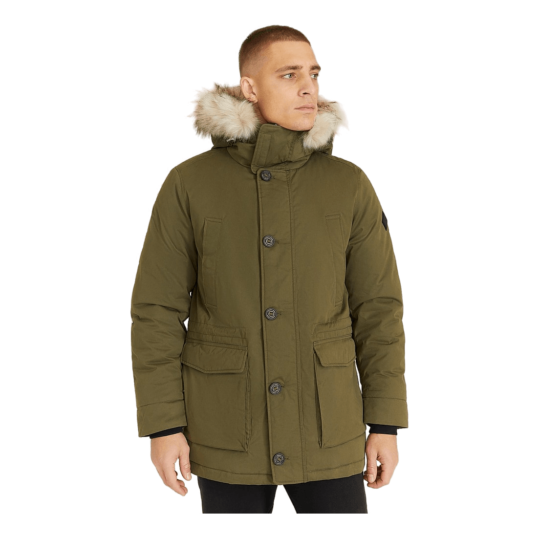 D2. Winter Parka