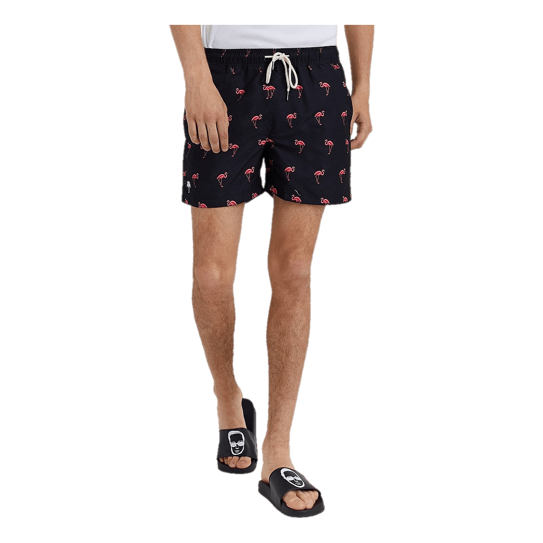 Flamingo Swim Shorts  Flamingo