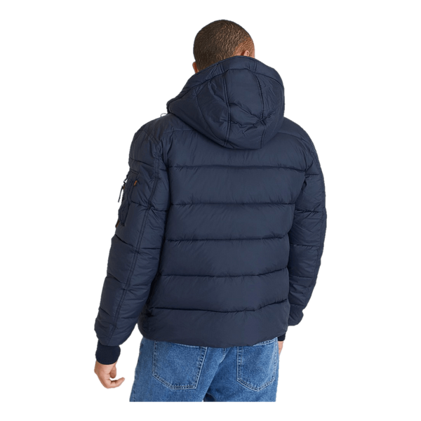 Hooded Puffer Alpha Fd Rep.