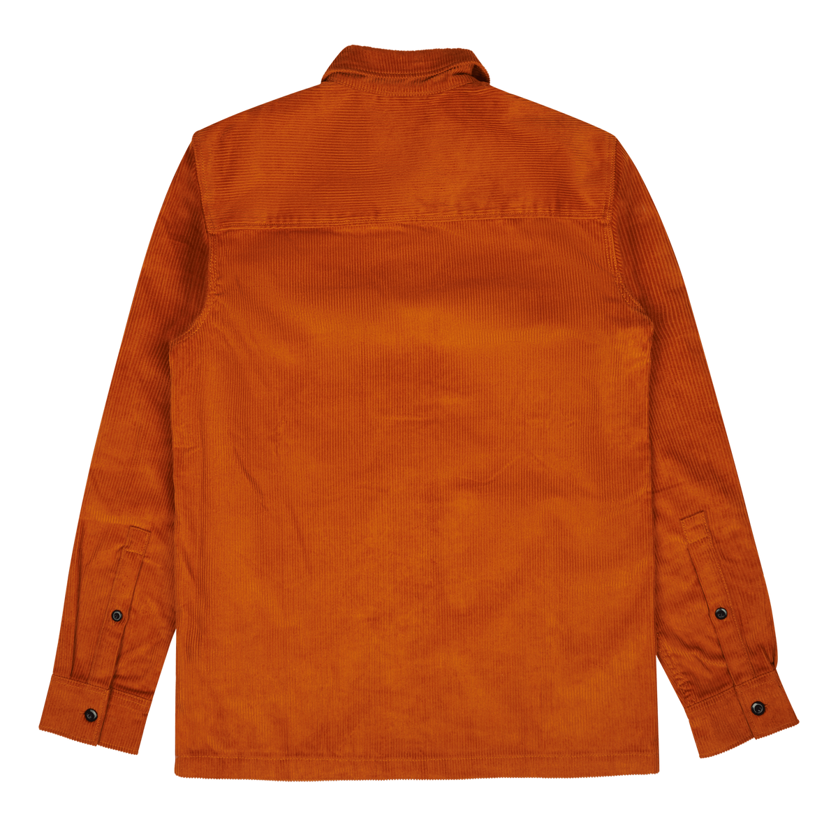 Dickies Higginson Shirt Pumpkin Spice