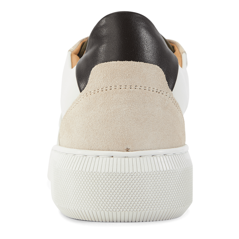Adventure Ii 260 Creme Combo